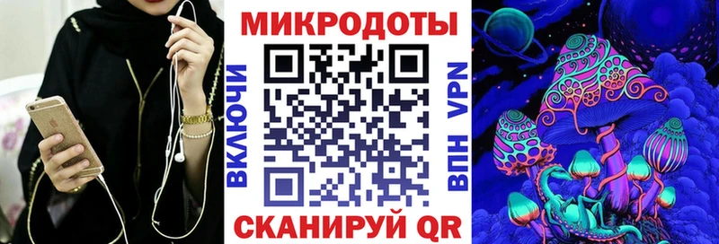 OMG как войти Зубцов Галлюциногенные грибы Psilocybine cubensis